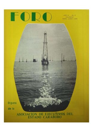 Revista Foro Ejecutivo No. 09